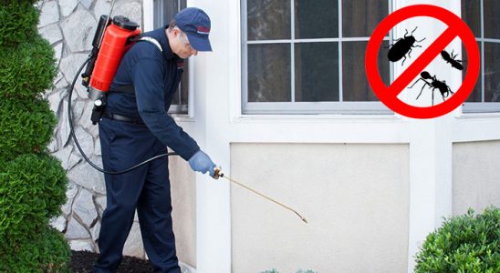 Kurtalan Fare İlaçlama böcek ilaçlama ve haşere kontrolü — ilaclama-tr.com